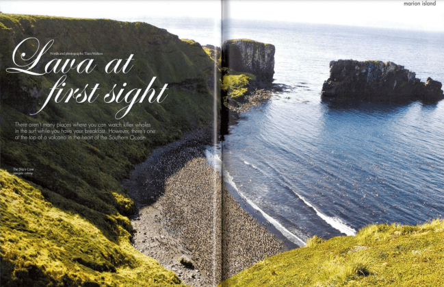 Tiara Walters Marion Island